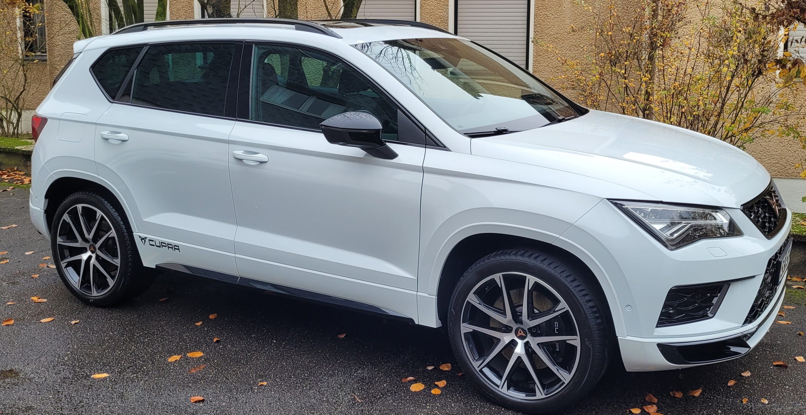 
								Cupra Ateca 2.0 TSI vollständig									