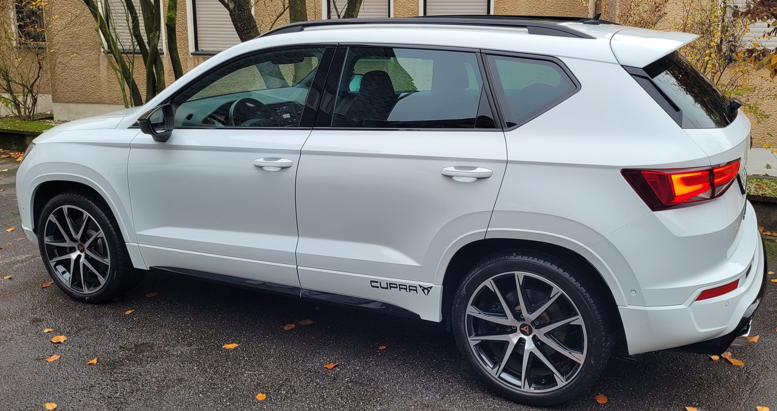 
								Cupra Ateca 2.0 TSI vollständig									