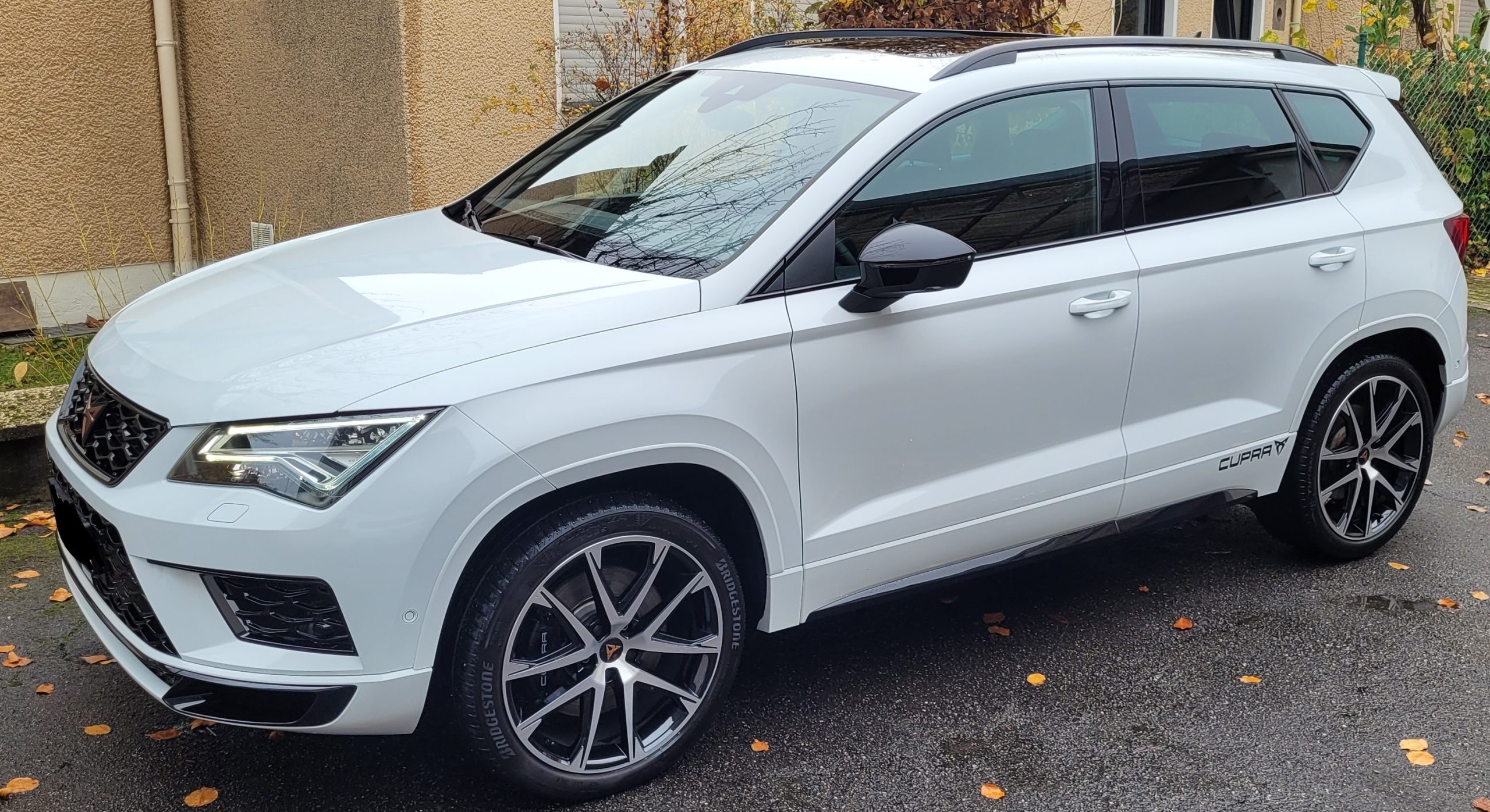 
								Cupra Ateca 2.0 TSI vollständig									